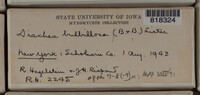 Image Associated With the Occurence